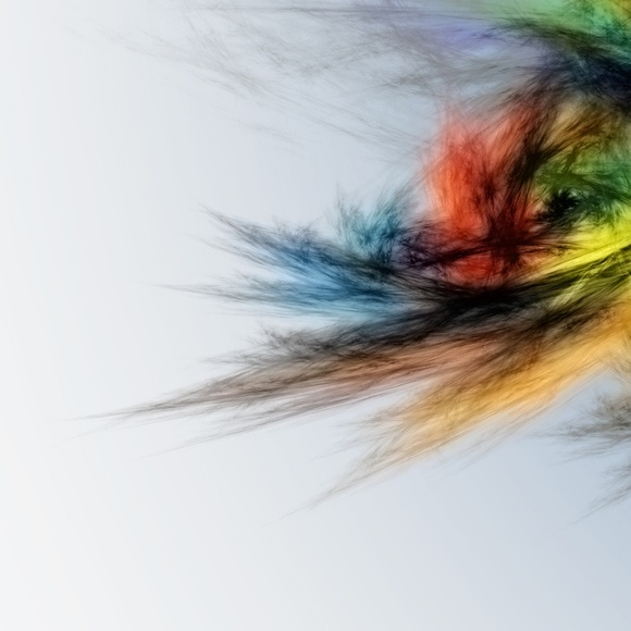 Meet your Posher, Jill - Picture 2 of 2